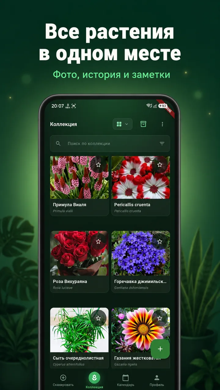 Plant Boost: Коллекция с фото-историей